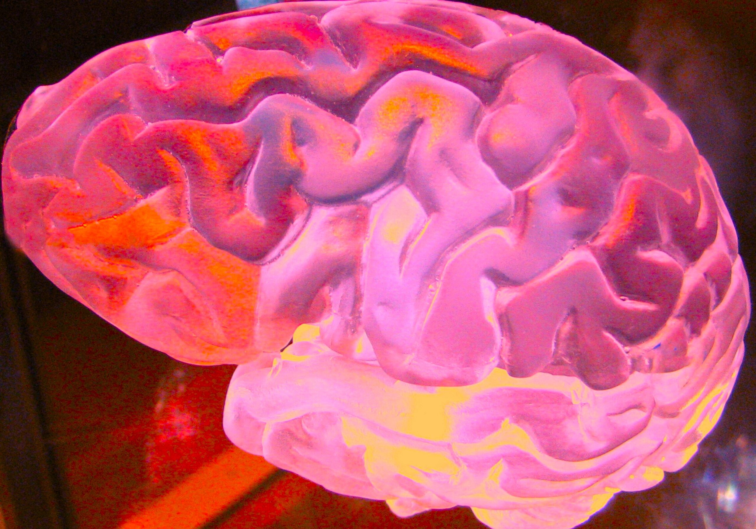Brain with neural pathways highlighting mental health and neurological function in vibrant pink and orange colours.