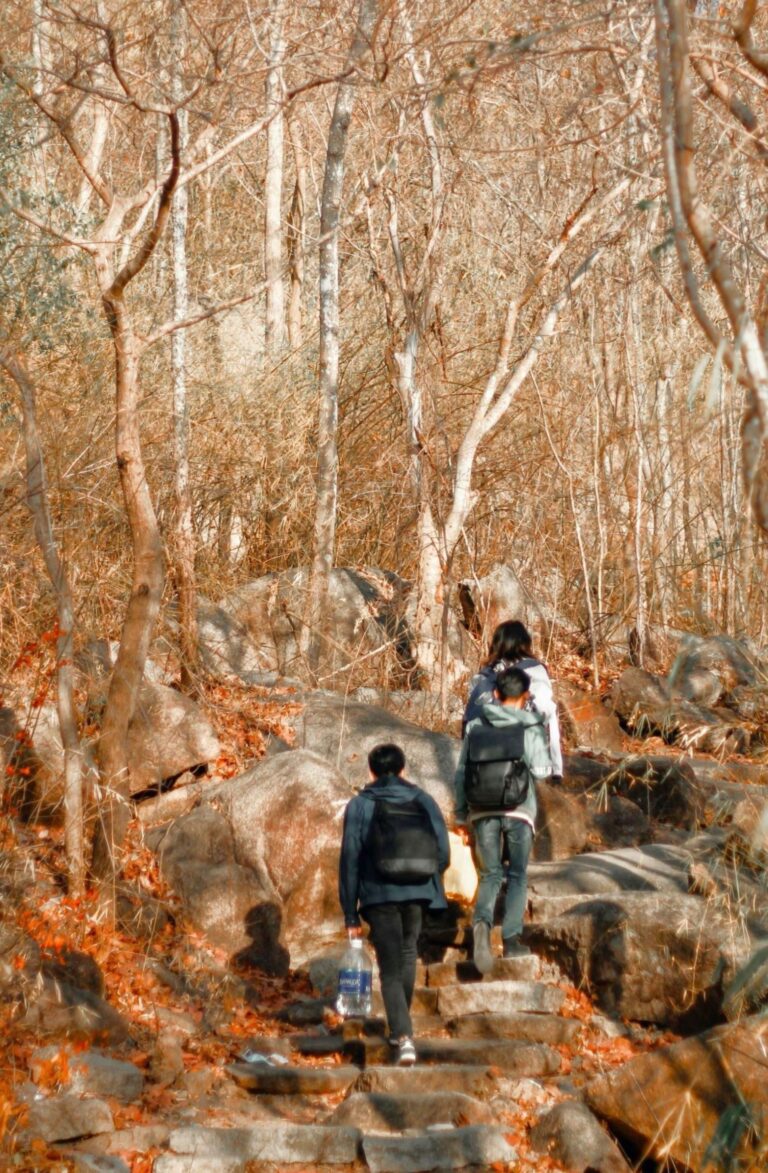 Travellers hiking through a forest during seasonal transition, exploring nature to see more and Keep Embracing Change.