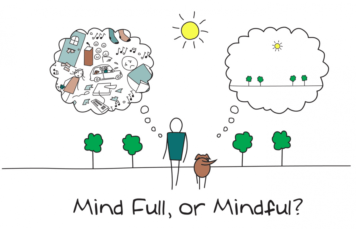 Willingness|Be mindful not mind full!