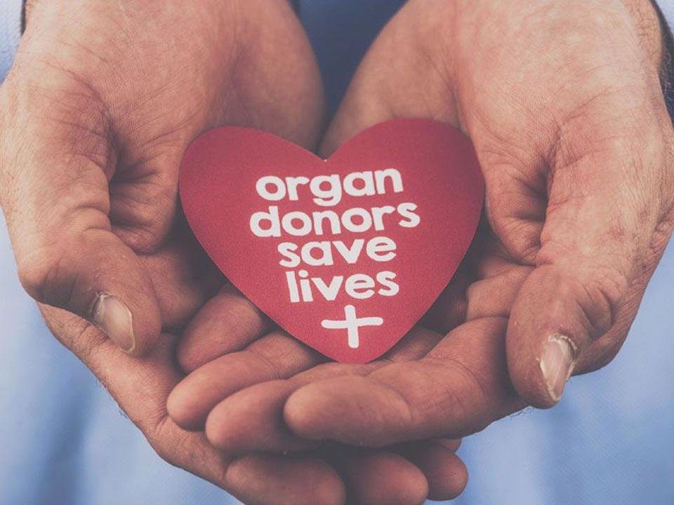 Willingness | Becoming an Organ Donor