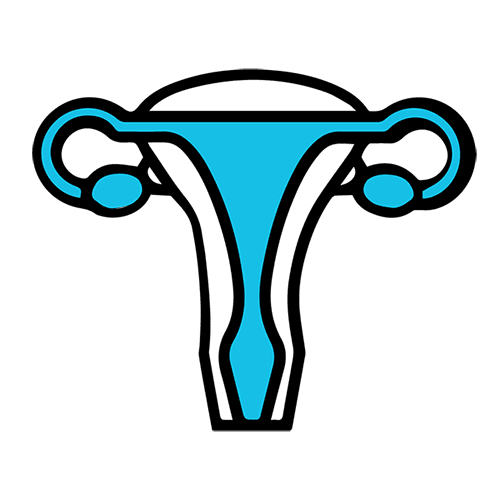 Willingness | Gynaecology - Gynaecologist
