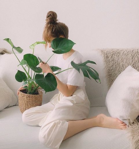 Willingness | 3 ways plants help our mental health