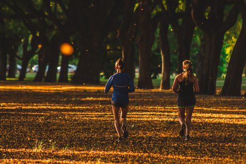 Willingness|5 Reasons Why Exercising with your Friend is Better