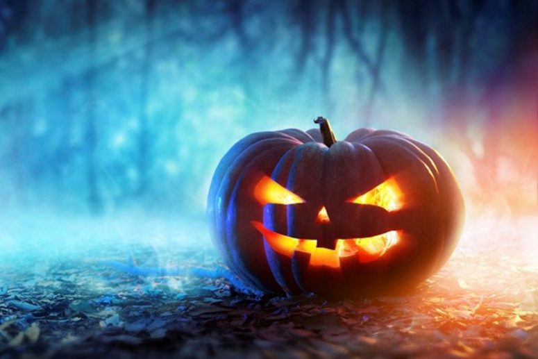 Willingness | Why We Love Halloween