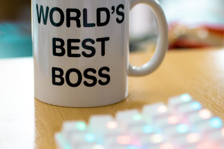 Willingness|The pros and cons of being your own boss