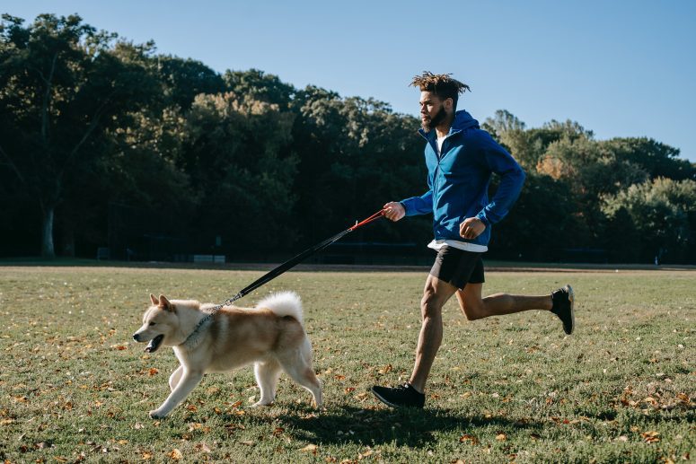 Willingness | <strong>Fitness with Furry Friends: Including Pets in Your Workouts</strong>