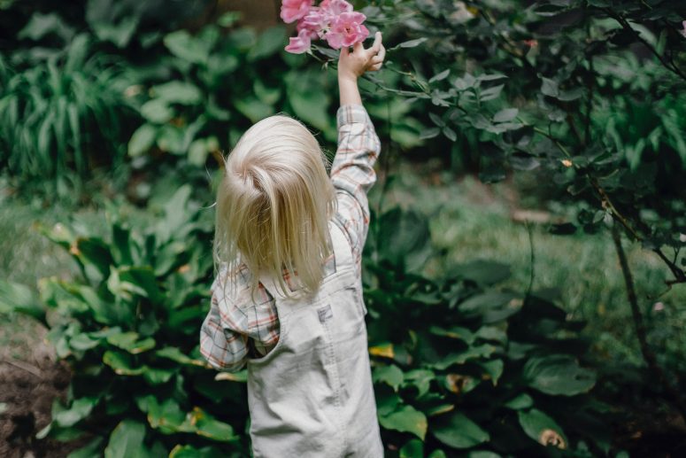 Willingness | The Impact of Nature on Children’s Wellbeing