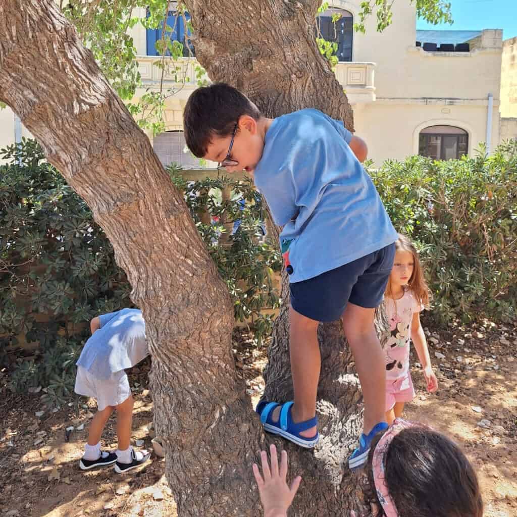 Climbing children outdoors, symbolising childhood exploration and anxiety management.