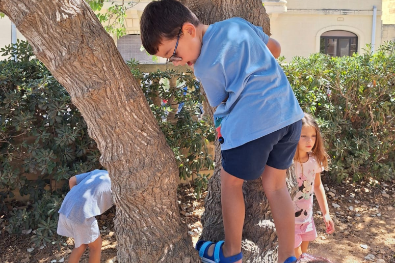 Willingness | How Outdoor Play Benefits Children's Mental Health