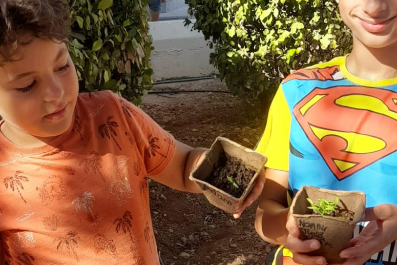 Willingness | Why Kids Need to Get Their Hands Dirty: The Power of Soil Play