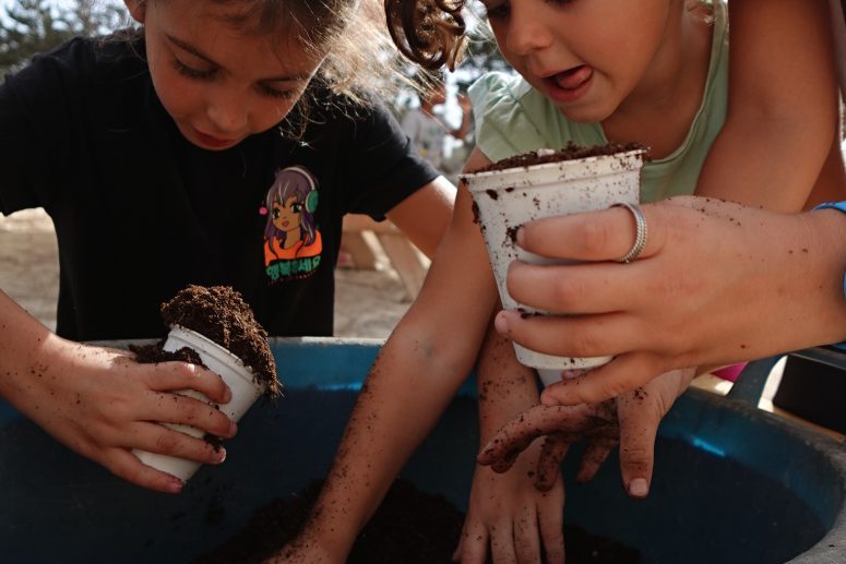 Willingness | Growing Up Grounded: The Health Benefits of Soil Play for Kids