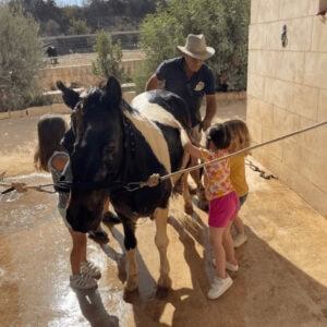 Children petting a black and white horse with a supervising adult nearby in an outdoor stable area.