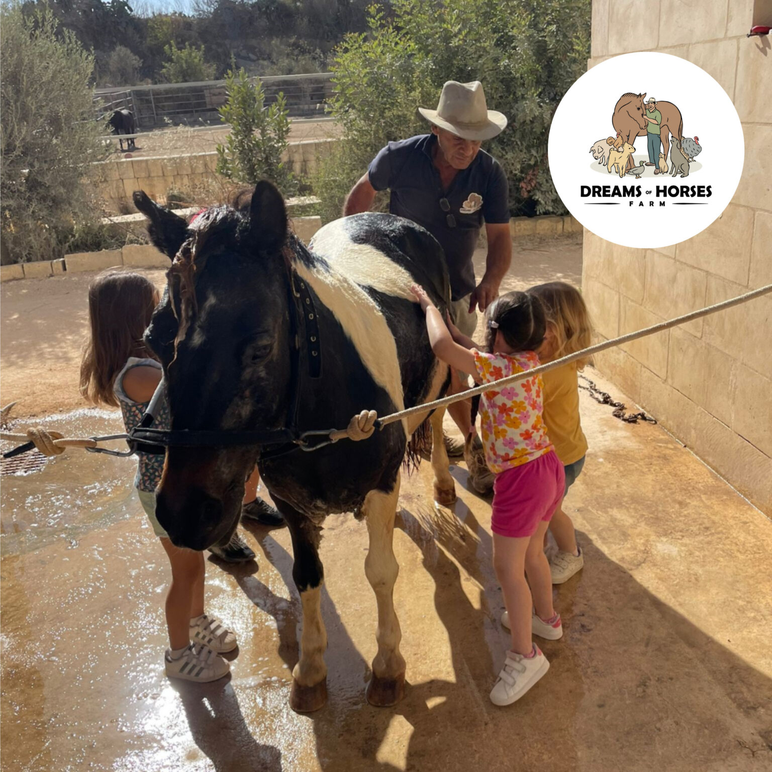 Calm and supportive environment where children interact with a horse, promoting emotional well-being, resilience, and animal-assisted therapy benefits for mental health.