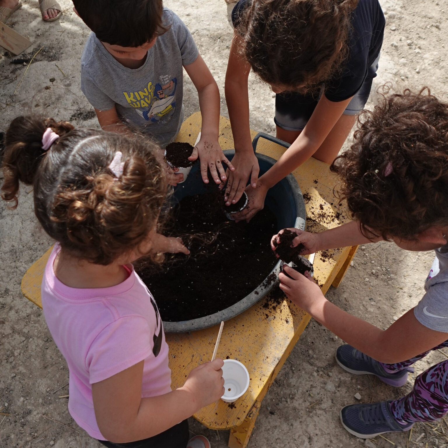 Children engaging in sensory play with soil, promoting emotional regulation and social interaction in outdoor therapy activities.