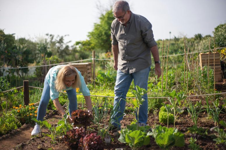 Willingness | Empty Nest? Try Gardening for Emotional Well-Being