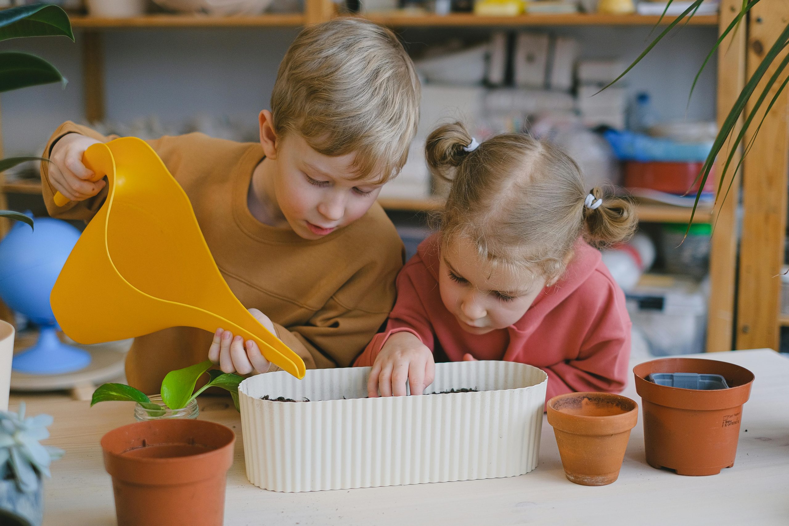 A young boy and his little sister can be seen conducting garden activities, as it's been revealed over time that gardening's a very robust method of teaching the next generations of people about patience and responsibility.