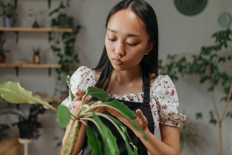 Young woman practices mindfulness and gardening with houseplant.