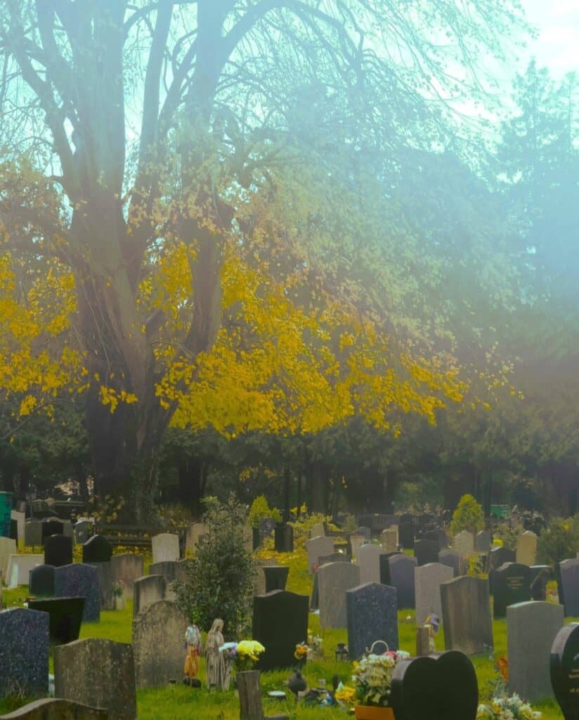 Gravestones beneath autumn trees symbolise Tense Funerals where family feuds may arise but unity can still be restored.