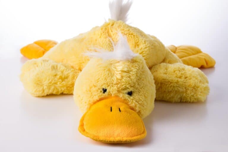 Exhausted plush duck lying flat, reflecting emotional fatigue and no time for rest, leading to Irritability Linked to Burnout.