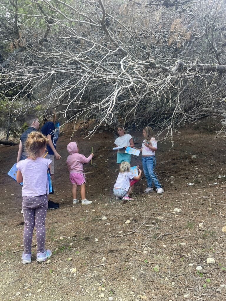 Children gathered outdoors under a large tree, engaging in a learning activity about nature and survival skills.