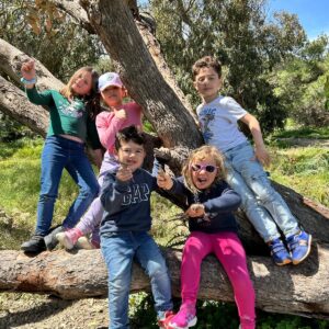Group of five children playing and climbing on a large tree outdoors, enjoying nature and building confidence through outdoor activities.
