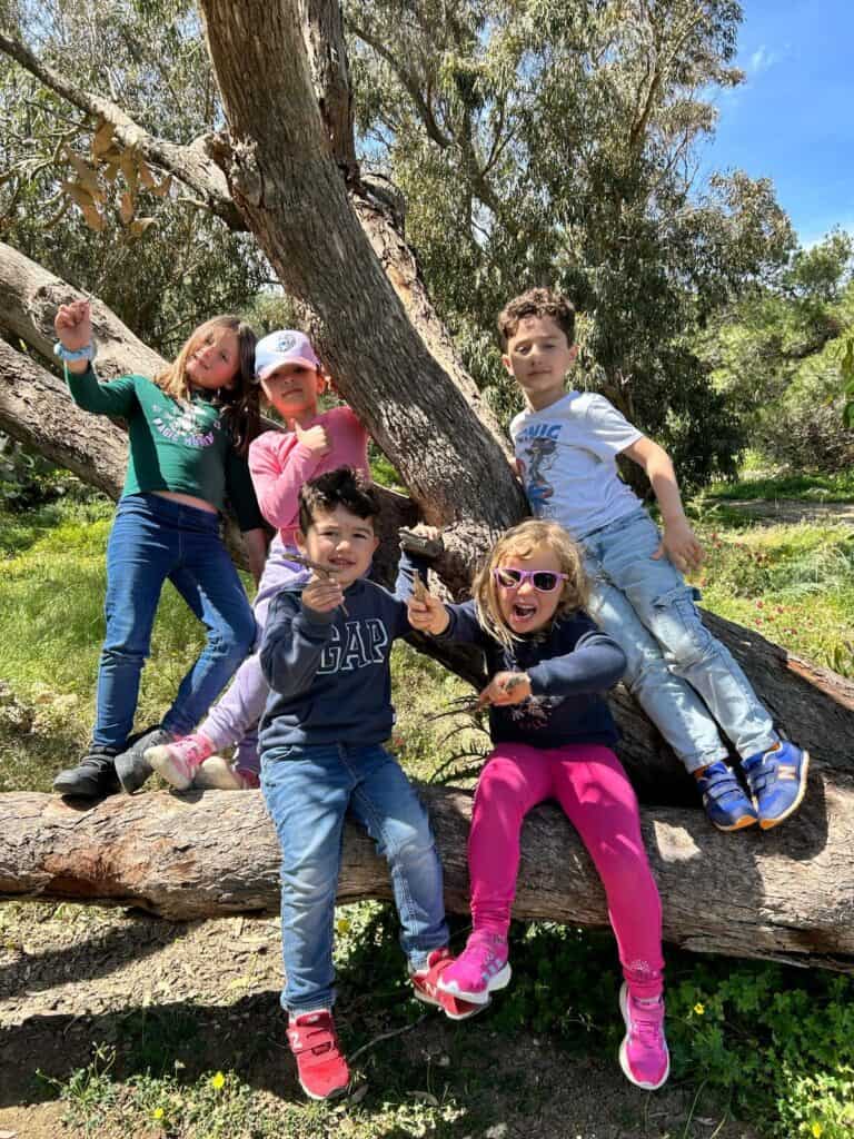 Street Smart and Wild Wise