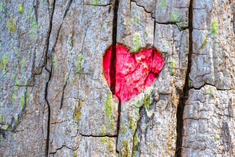 Heart carved in cracked wood showing pressure to appear happy, stemming from the Constant Happiness Relationship Myth.