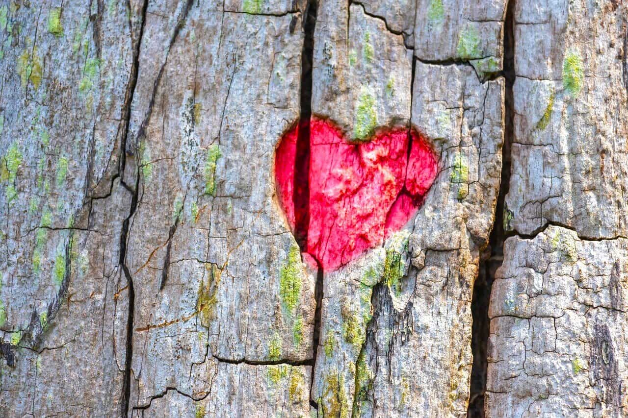 Heart carved in cracked wood showing pressure to appear happy, stemming from the Constant Happiness Relationship Myth.