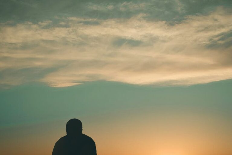 Silhouette of a person contemplating against a sunset sky, symbolising reflection and mental wellness.